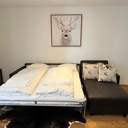 Beautiful Sunny New 1 Bed